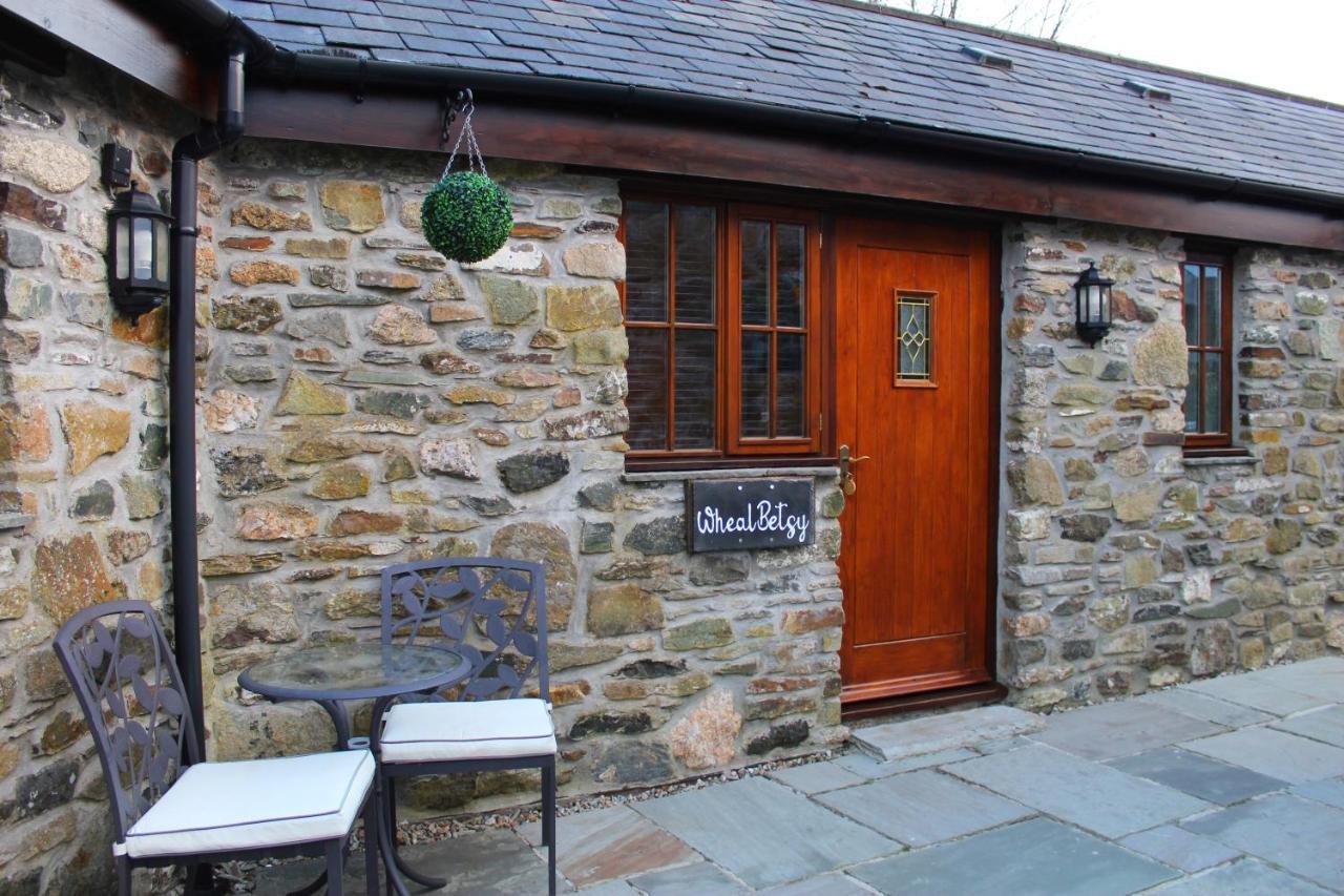 The Mary Tavy Inn Marytavy 外观 照片